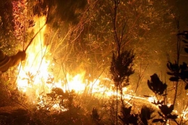 Registrovano 29 požara u Mostaru, Čapljini, Konjicu, Čitluku i Stocu