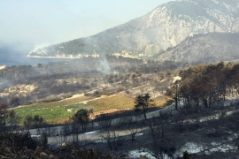 Na Pelješac poslat četvrti kanader, gori na Braču