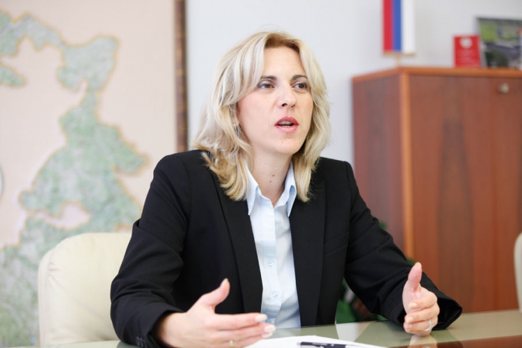 Cvijanović: Kvazidiplomatija u BiH prevršila svaku mjeru