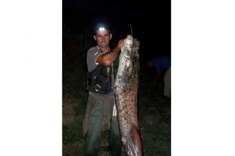 Ulovio soma teškog 30 kilograma