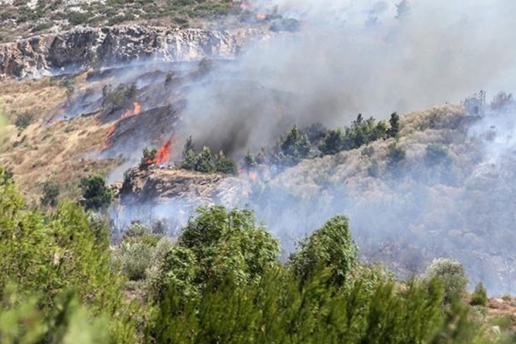 U požaru na Peloponezu poginula jedna osoba