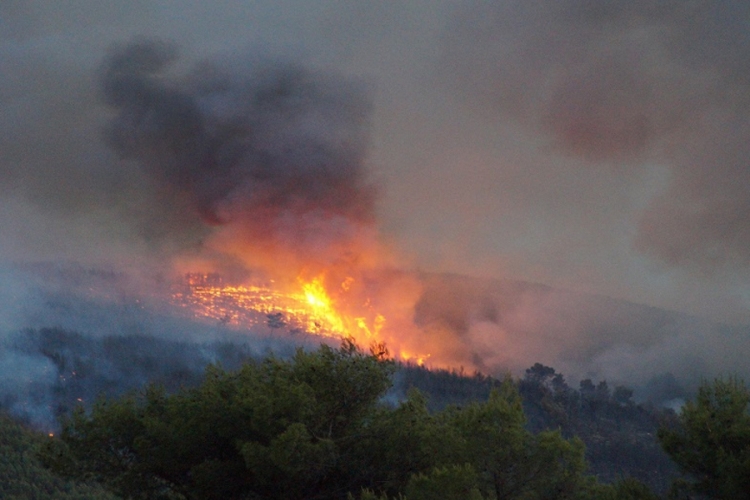 Buknuo veliki požar na Pelješcu, vatra prijeti kućama