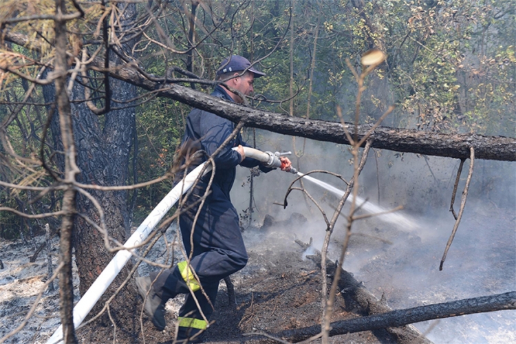 Paklena noć za 200 vatrogasaca, Pelješac i Korčula i dalje gore (FOTO)