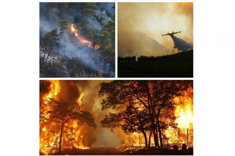 Dramatični snimci požara u Dalmaciji (FOTO, VIDEO)
