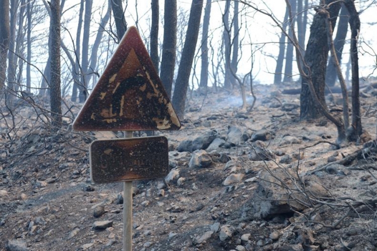 Bosansko Grahovo: Oružane snage BiH gase požar