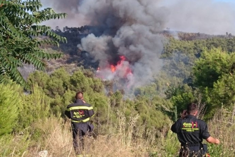 Na Korčuli uhapšena mlada piromanka