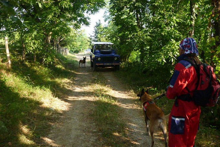 Brčko: Elvedinovoj sestrici još ni traga