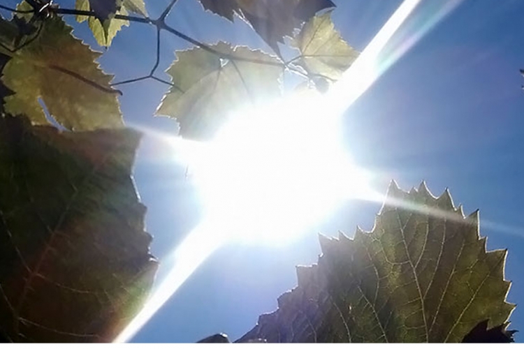 U srijedu sunčano vrijeme