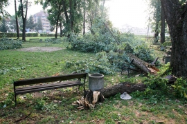 Nevrijeme u Derventi: Drveće čupalo kao cunami (FOTO)