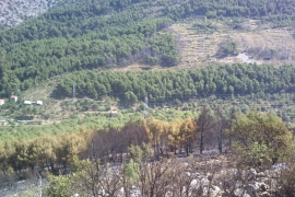Pod kontrolom vatra na brdu Perun