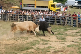 Na Popovića brdu u nedjelju "Grmečka korida"