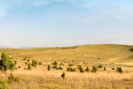 Fotografija umjetnice Belme Čorbo u Luvru 