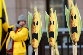 Stvari koje ne bi postojale u sadašnjem obliku da nema GMO-a
