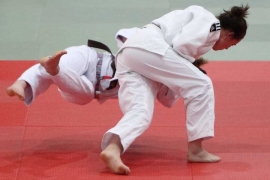 Domaćinu najviše medalja