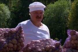 Lukašenko sakupio 70 vreća krompira (VIDEO)