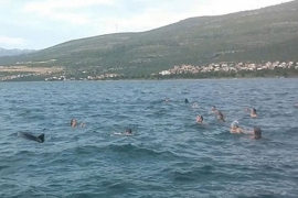 Toksična alga širi se Jadranom
