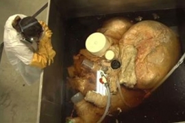  Ovo je najveće srce na svijetu, teško 189 kilograma (FOTO)