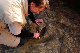 Otkrivena staza dinosaurusa u Njemačkoj (FOTO)