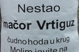 Da li ste vidjeli Vrtiguza? (FOTO)
