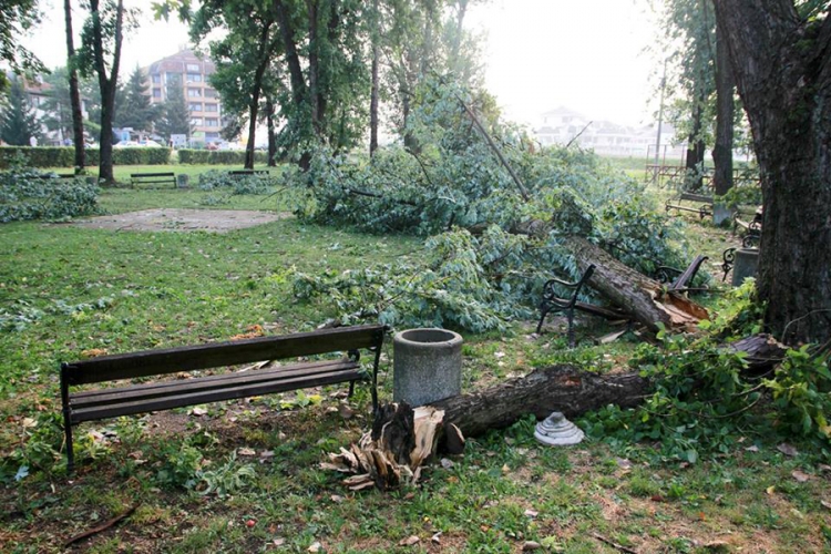 Nevrijeme u Derventi: Drveće čupalo kao cunami (FOTO)