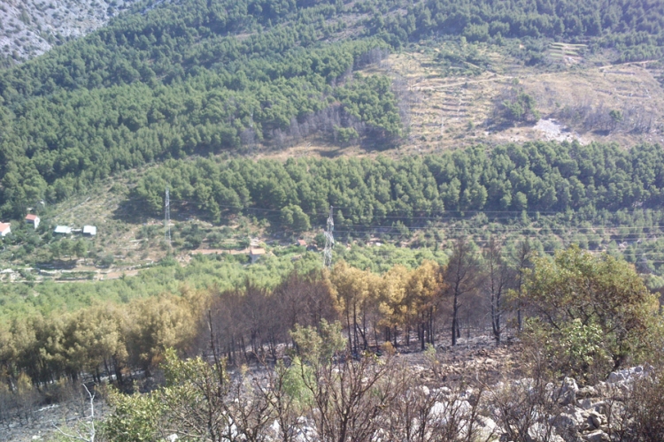 Pod kontrolom vatra na brdu Perun
