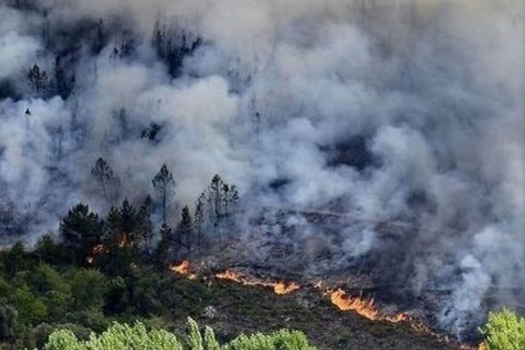 Kilometrima širok požar u blizini Trebinja, vatrogasci brane sela