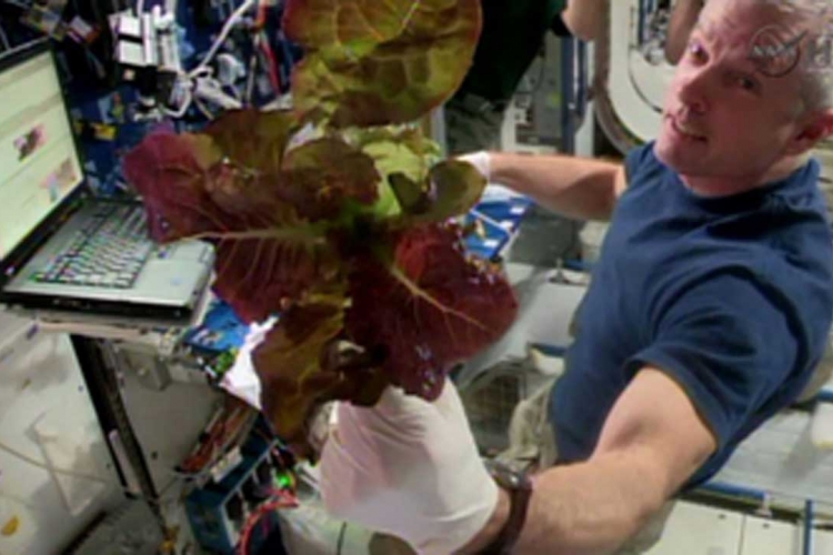 Astronautima prvi put na jelovniku svemirska salata