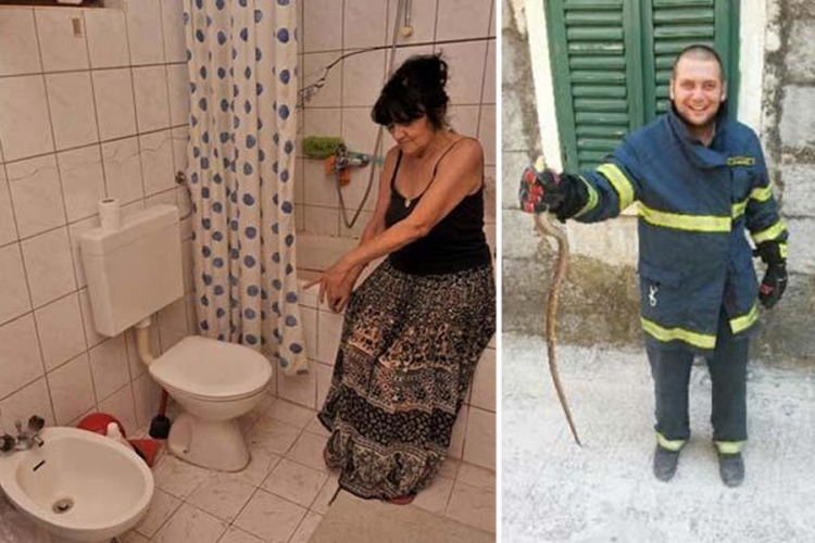 Dalmatinka u WC šolji pronašla zmiju
