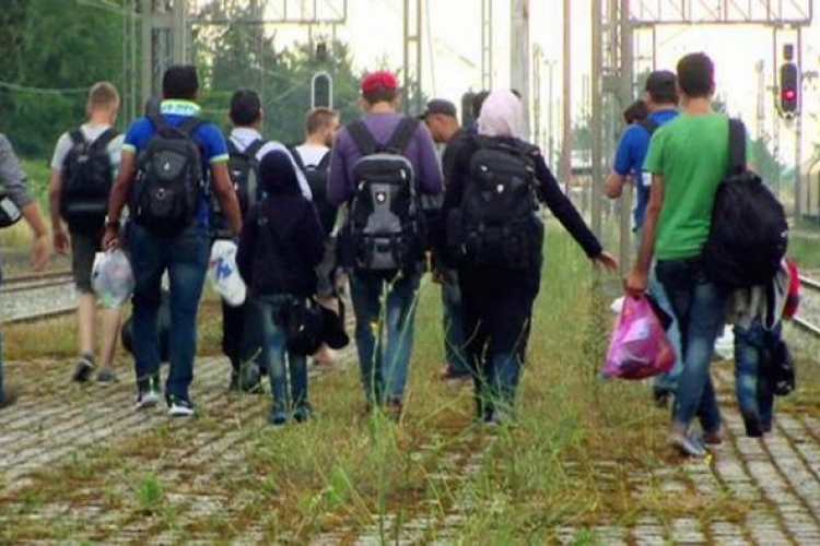 Bijeg sa Balkana, neuspjeh političara 