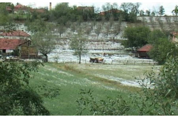 U Kraljevu grad uništio bašte i voćnjake