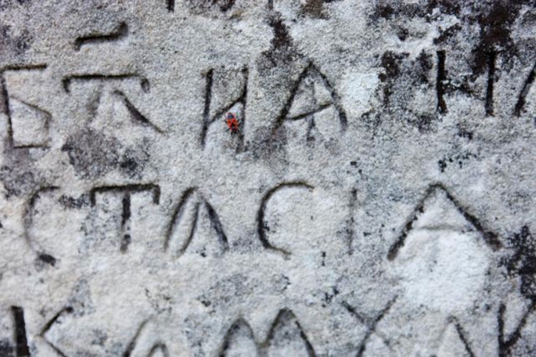 Pronađeni tragovi praistorijskog masakra u Evropi