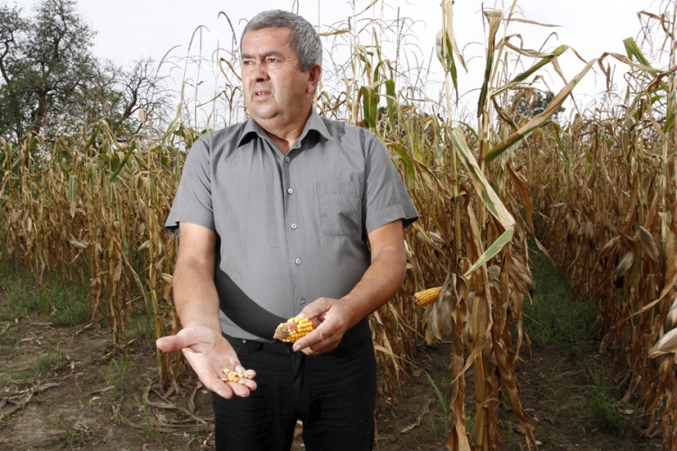  Drugi put prazne zemljoradničke ruke (FOTO)