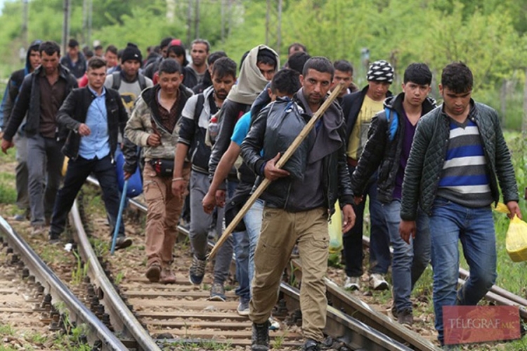  IS među migrantima skriva teroriste