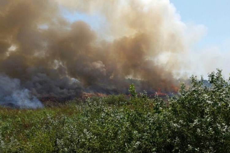 Požar na Velikoj plaži u Ulcinju