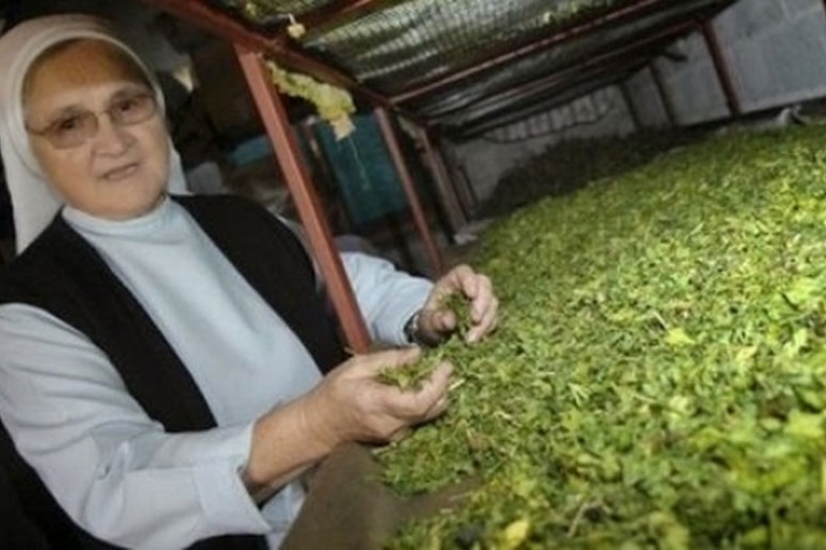 Časna sestra iz Posušja otkrila lijek za smrtonosnu bakteriju E coli?