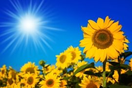Sunčano i toplije, temperatura do 27
