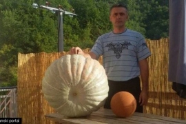 Rama: Marin uzgojio tikvu tešku 55 kilograma