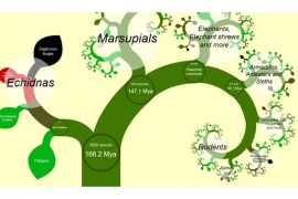 Pratite kako napreduje mapa evolucije života
