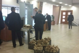 Jabuke iz Gradiške "preplavile" Narodnu skupštinu