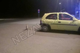 Vjerovali ili ne: Lisica usred Banjaluke (FOTO)