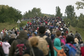 Hiljade izbeglica otkriveno u kukuruzištima kod Stošinaca