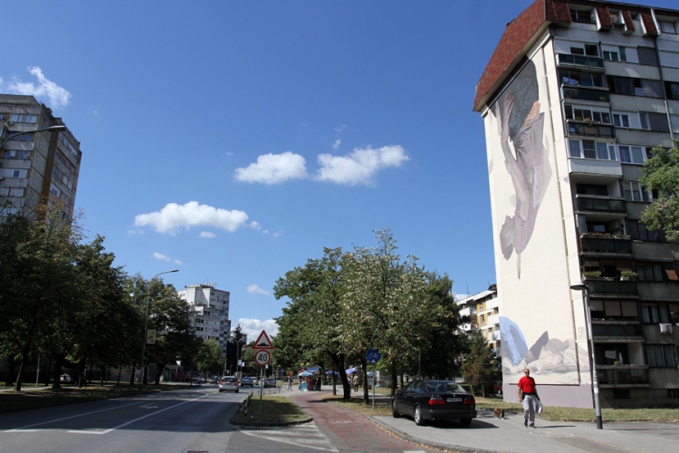 Novi mural u Boriku
