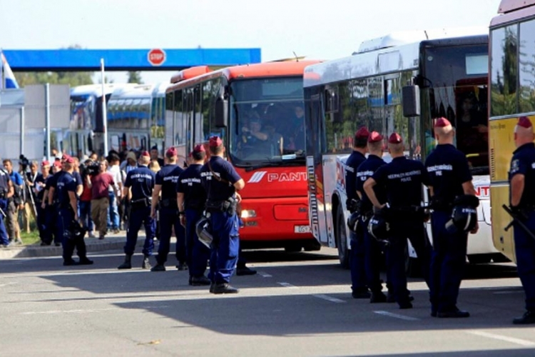 U Hrvatsku ušlo 15.400 izbjeglica, Slovenija i Mađarska otvorile granice   (VIDEO, FOTO)