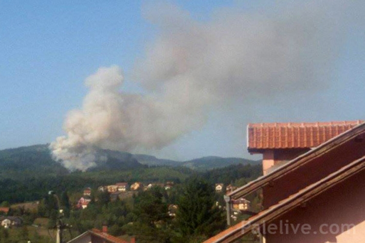 Požar kod Pala gase i mještani i radnici šumskog gazdinstva (VIDEO)