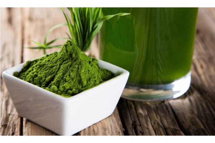 Upoznajte spirulinu: Ona je i Novakovo tajno oružje