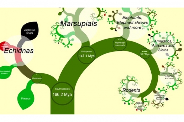 Pratite kako napreduje mapa evolucije života