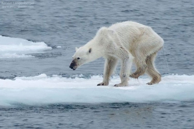  Fotografija koja otkriva stvarnost klimatskih promjena (FOTO)