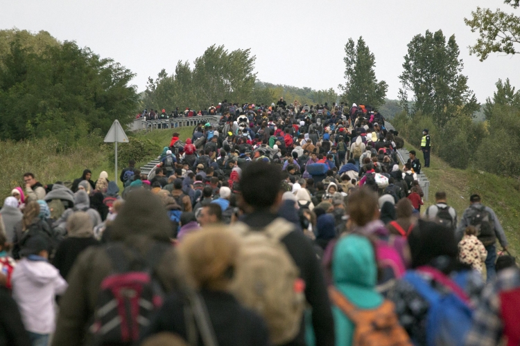 Hiljade izbeglica otkriveno u kukuruzištima kod Stošinaca