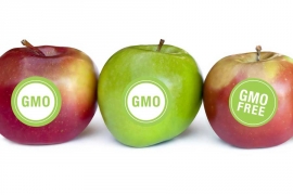 Dvije trećine zemalja EU protiv GMO