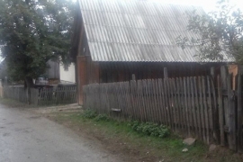 Vukovi zaklali sedam ovaca u Kračulama kod Pala